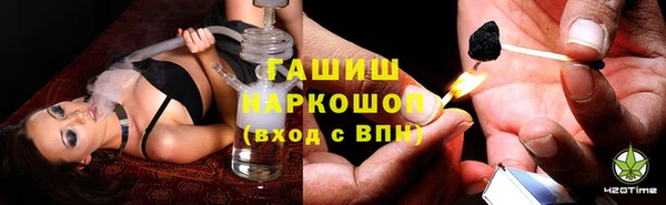 сатива Осинники