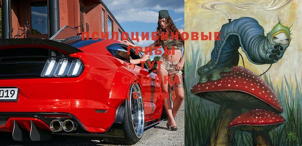 сатива Осинники