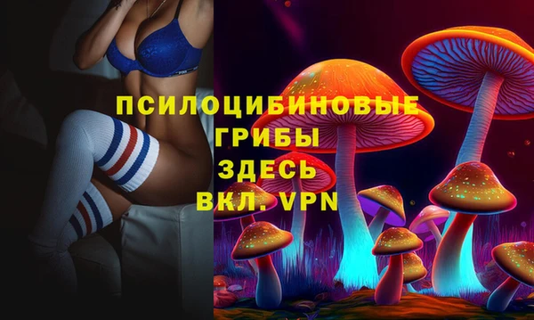 сатива Осинники