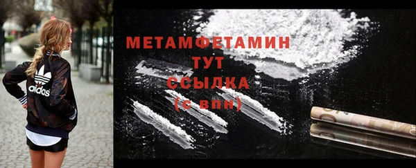 сатива Осинники