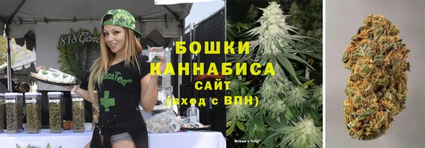 сатива Осинники