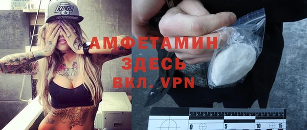 сатива Осинники