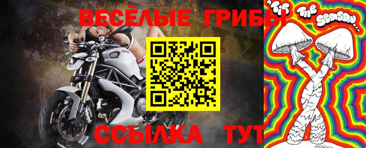 Псилоцибиновые грибы прущие грибы  Вход с VPN  Псилоцибиновые грибы мухоморы  купить   Апрелевка 